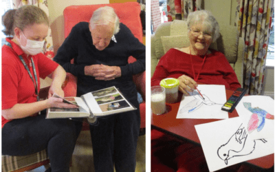 A bird themed week at Hill House