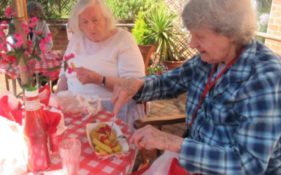 English themed week as we celebrate St Georges Day at Hill House
