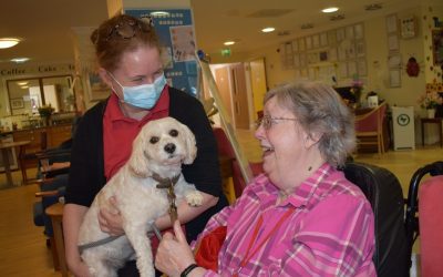 A week of raising the woof at Hill House!