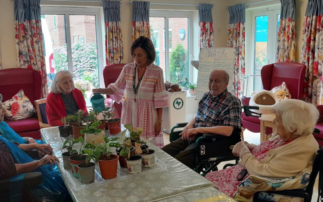 Farm and Feline week