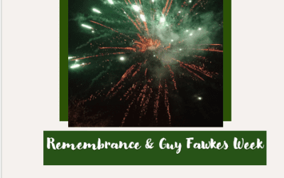 Remembrance and Guy Fawkes Week at Hill House
