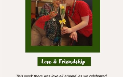 Love & Friendship at Hill House