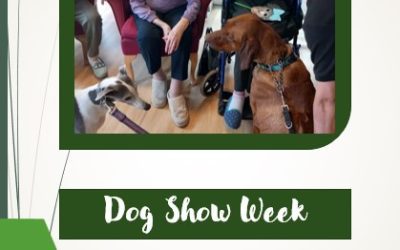 Dog Show Week at Hill House