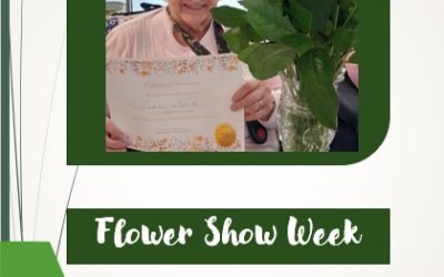 Flower Show Week at Hill House