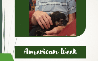 American Week at Hill House